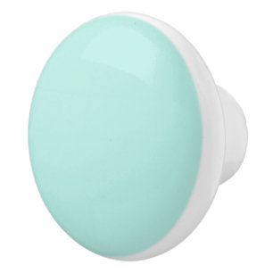 Joli bouton rond de céramique verte à la menthe