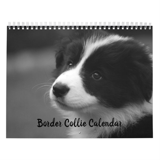 Joli calendrier Collie Dog Bordure (Protection)