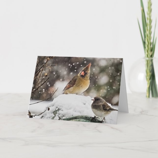 Joli cardinal sur la carte blanche de neige (Devant)