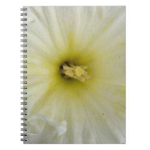 Joli Carnet de jonquille pâle