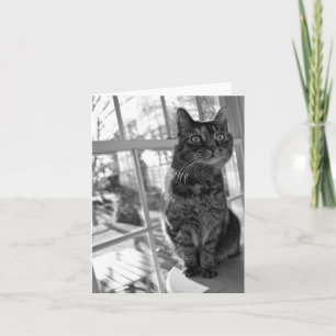 Joli carte pour notes lumineux de yeux de Kitty