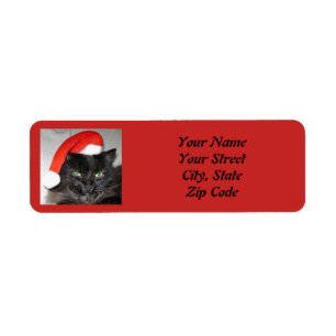 Joli chat de Noël Santa Hat Photo