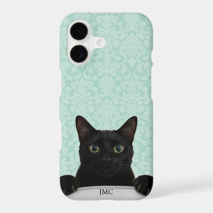 Joli chat noir qui regarde damas mint