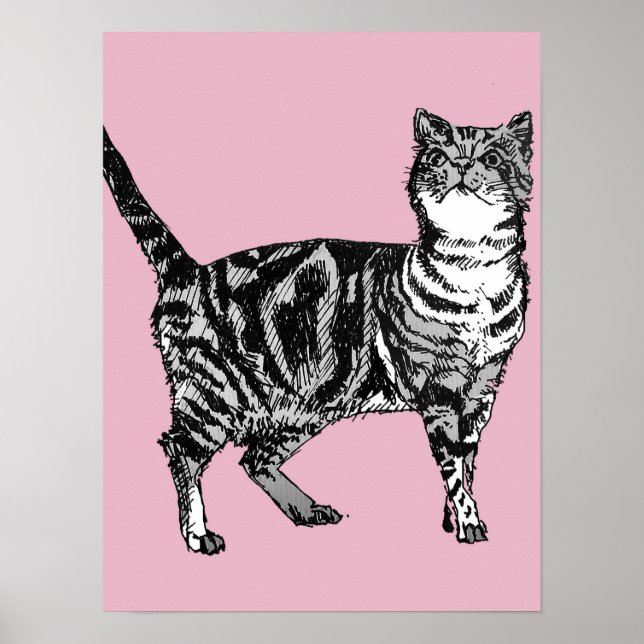 Joli Chat Tabby Rayé Rose Affiches d'Art (Devant)