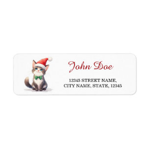 Joli chat tigré chapeau de Père Noël Noël adresse