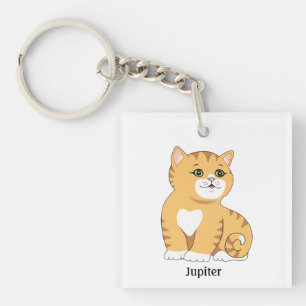 Joli chat tigré orange