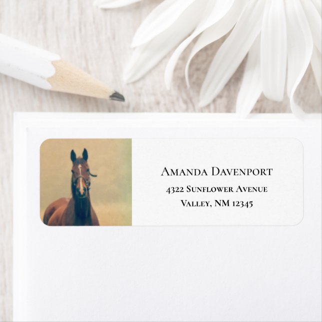 Joli cheval Brown debout dans un champ (En situation)