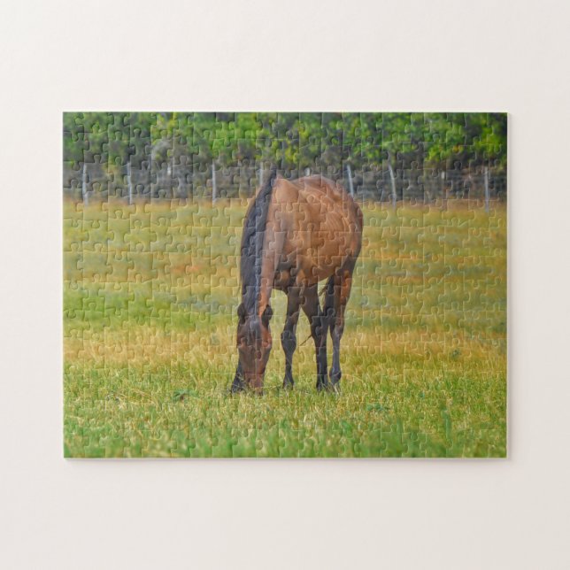 Joli cheval Texas Pasture Farm Puzzle (Horizontal)