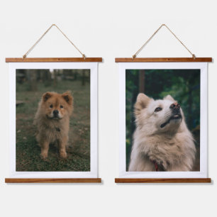 Joli Chien Fluffy Art Mural Rustique Photographie 