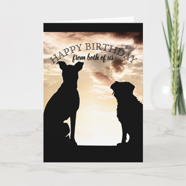 joli chien joyeux anniversaire de la carte de nous (Devant)