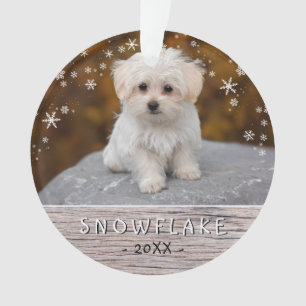 Joli chien rustique chiot flocon de neige 2 Photo
