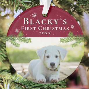 Joli chiot de Noël pour son premier Noël Photo rou