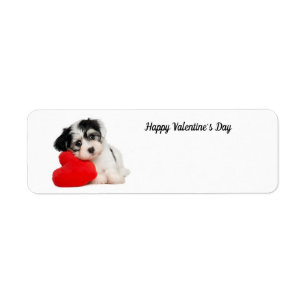 Joli chiot Heureuse Sainte-Valentin
