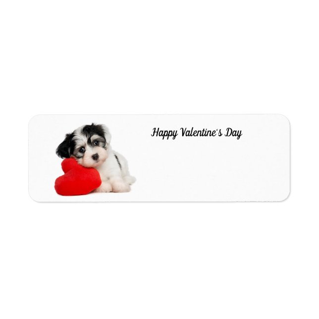 Joli chiot Heureuse Sainte-Valentin (Devant)