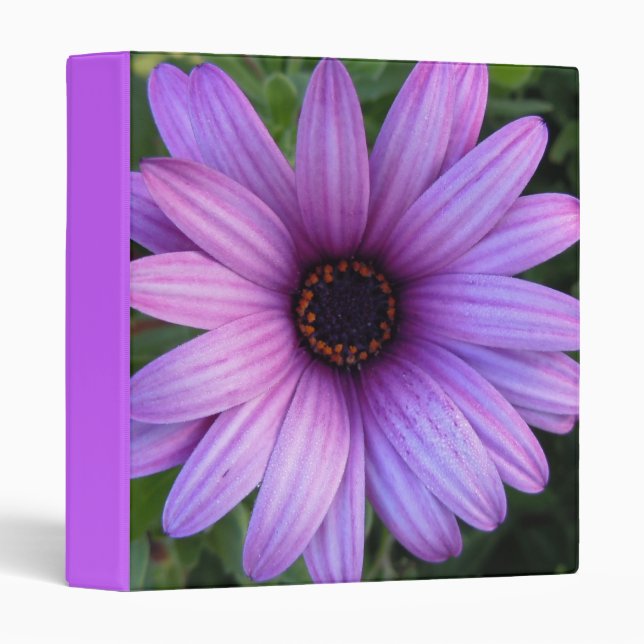 Joli classeur de fleur d'aster (Devant/Côté)