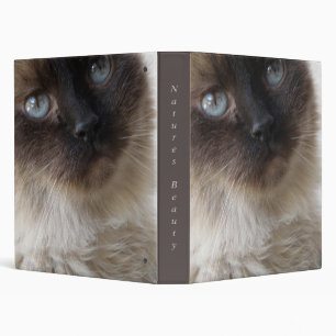 Joli classeur de Kitty