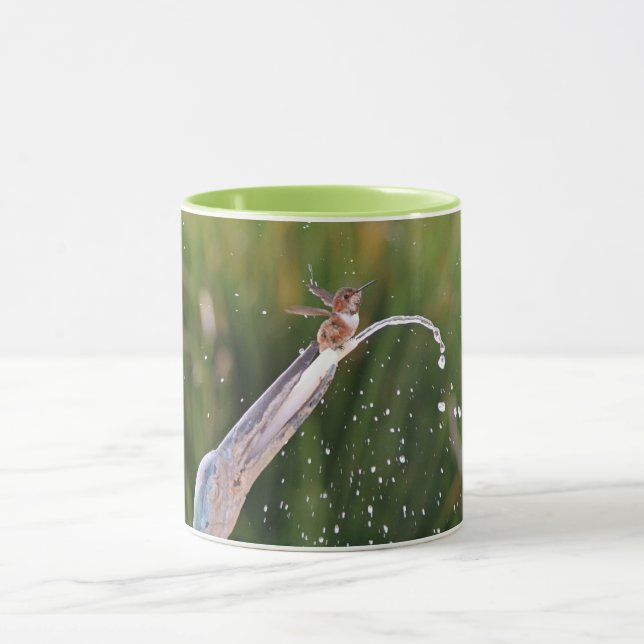 Joli colibri jouant à la Coupe de Mug de Fontaine (Centre)