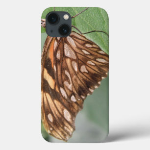 Joli coque ipad papillon Brown