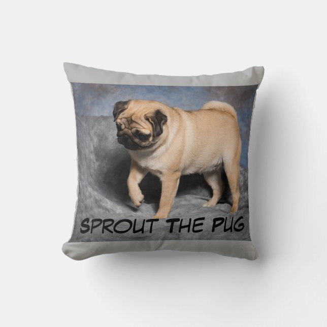 Joli coussin de carlin (Recto)
