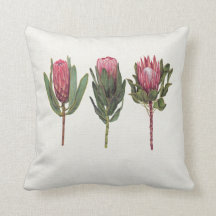 Joli Coussin Protea