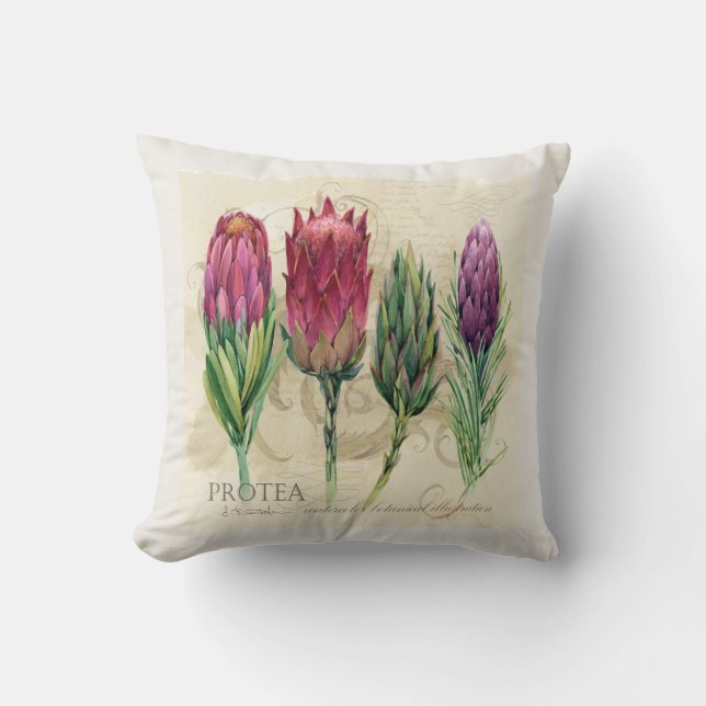 Joli Coussin Protea (Recto)