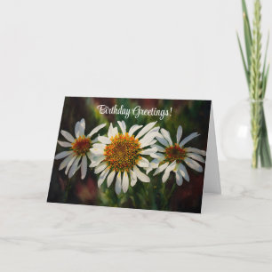 Joli Daisy Flowies Daisies Carte Anniversaire