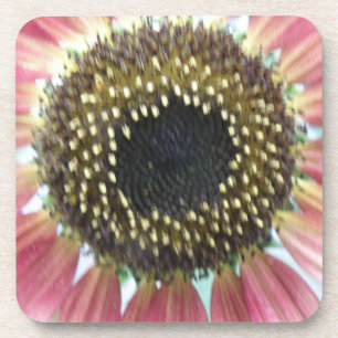 Joli Dessous de verre de liège de tournesol rose