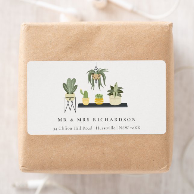 Joli Elegant Poted Leafy Succulent Plantes Adresse (En situation)