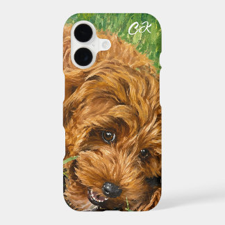 Joli Golden Doodle