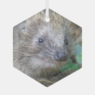 Joli Hérisson ornement en verre de Noël