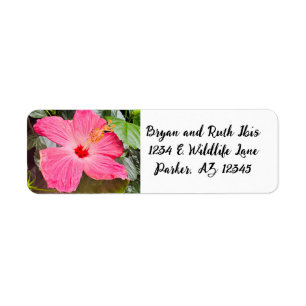 Joli Hibiscus rose