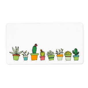 Joli Jardin Succulent Illustré