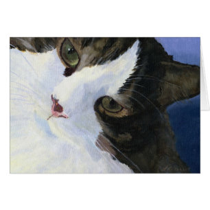 Joli Kitty