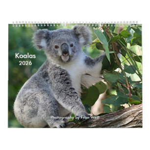 Joli Koala Calendrier 2026