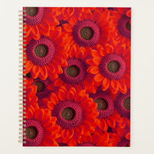 Joli motif de fleurs rouges