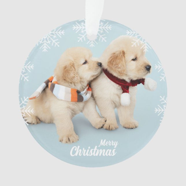 Joli Noël chiots de récupération d'or de Noël Orna (devant)