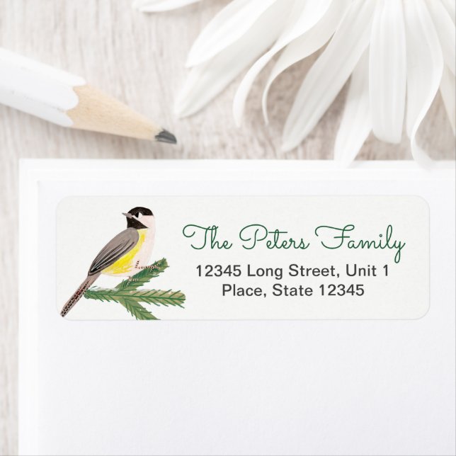 Joli oiseau jaune de Noël et arbre vert (En situation)
