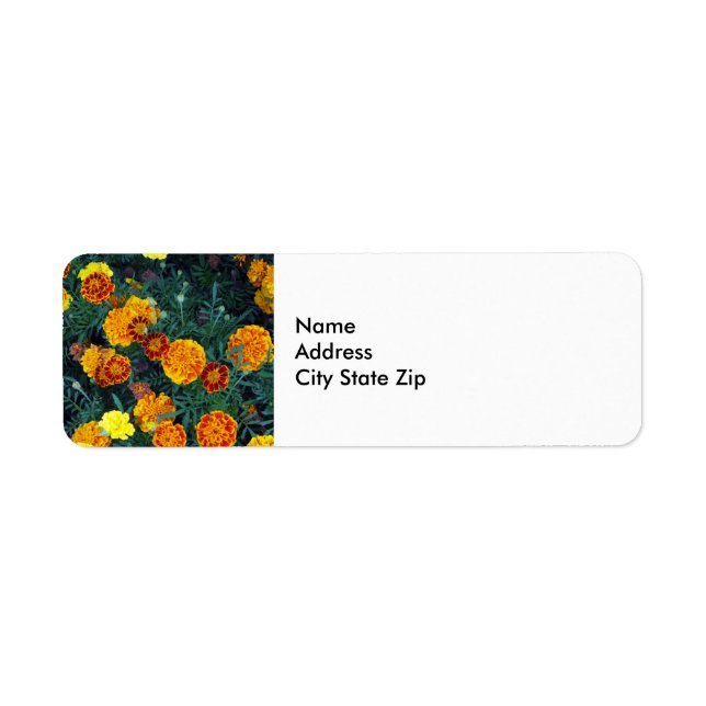 Joli Orange Marigolds Floral Photo (Devant)