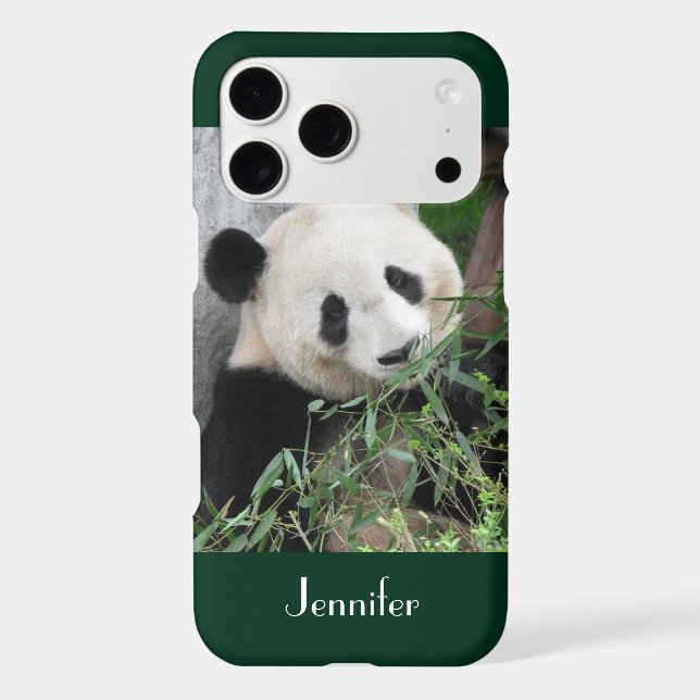 Joli panda géant fond vert foncé, nom,  (Verso)