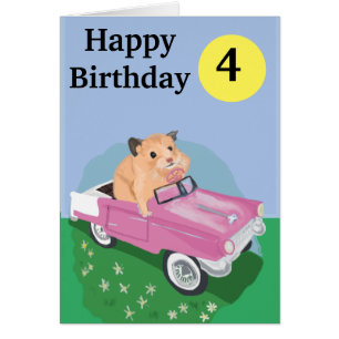 Joli petit hamster Conduire une voiture rose