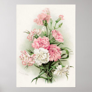 Joli poster décoratif oeillets vintages