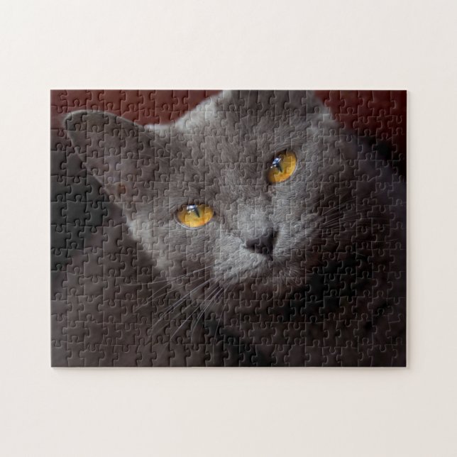Joli puzzle Chartreux (Horizontal)
