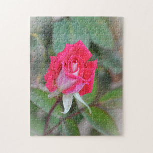 Joli Rose Bud Garden Art Puzzle