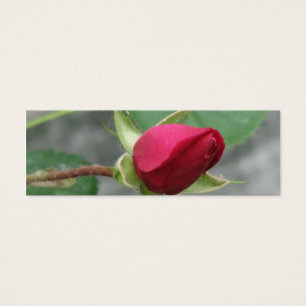 Joli signet rose