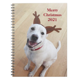 Joli sourire blanc renne chien Carnet de Noël
