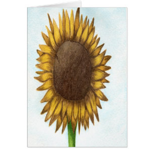 Joli tournesol