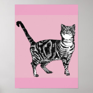 Jolie affiche d'art de chat tigré rayé rose