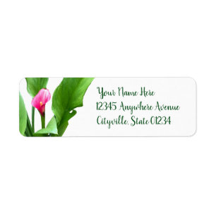Jolie Calla Lily Rose