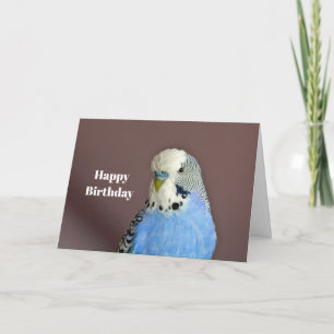 Jolie carte d'anniversaire avec perruque bleue