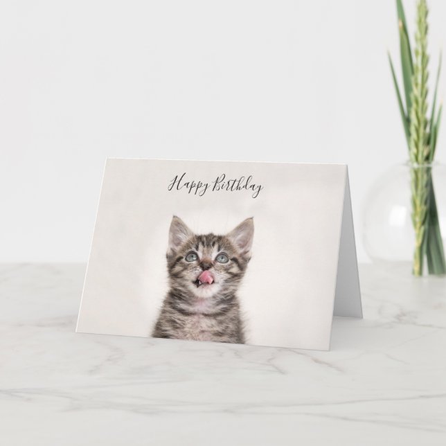 Jolie carte d'anniversaire de chaton tabby (Devant)